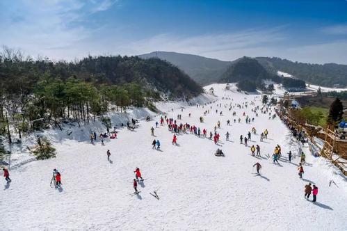 滑雪高手来了!16国选手哈尔滨站同场比拼 滑雪高手来了!16国选手哈尔滨站同场比拼