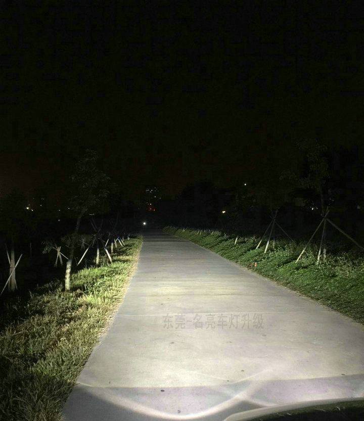 复件 IMG_8461